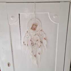 Drmmefanger, natur med fjer