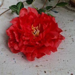 Rd pon blomster pynt S