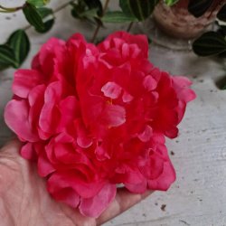 Pink pon blomster pynt S