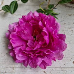 Lilla pon blomster pynt S