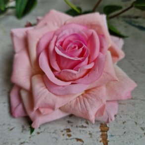 Lyserd rose blomster pynt S