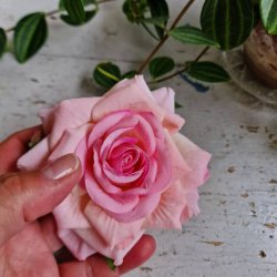 Lyserd rose blomster pynt S