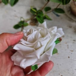 Hvid rose blomster pynt S