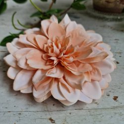 Fersken flad georgine blomster pynt S