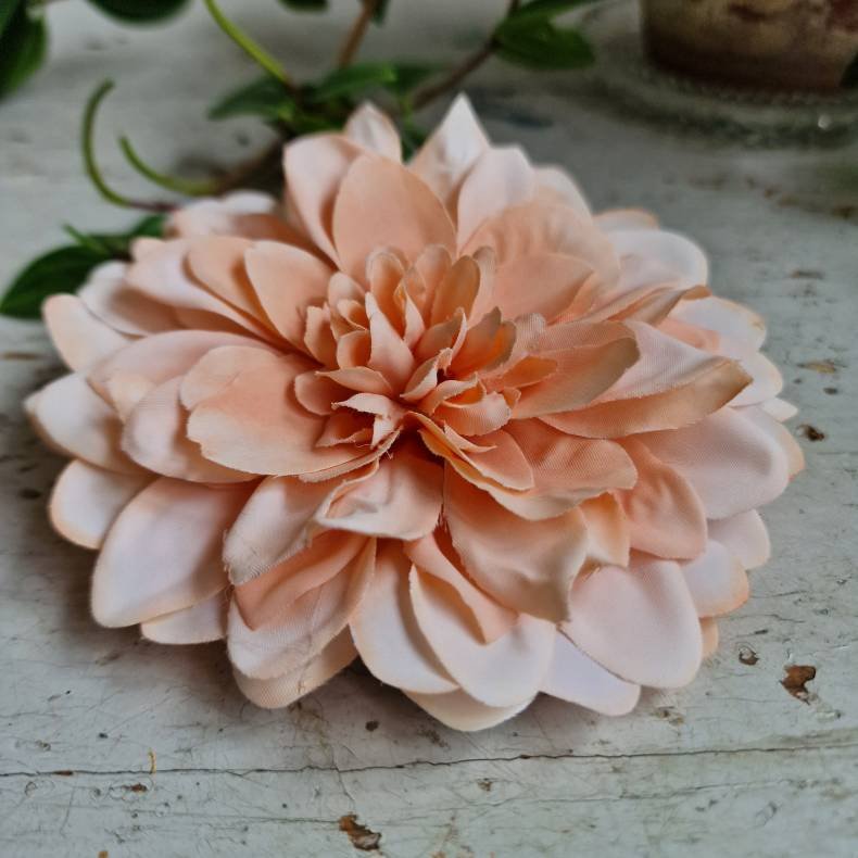 Fersken flad georgine blomster pynt S