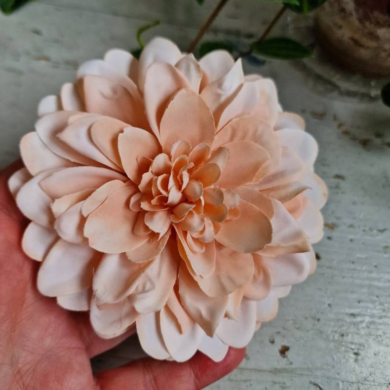 Fersken flad georgine blomster pynt S