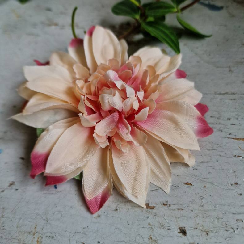 Fersken/vin krysantemum blomster clips M