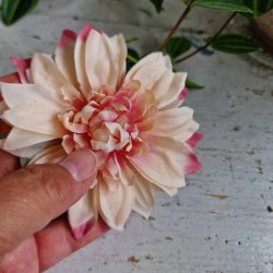 Fersken/vin krysantemum blomster clips M