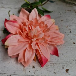 Fersken/rd  krysantemum blomster clips M