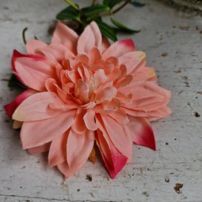 Fersken/rd  krysantemum blomster clips M