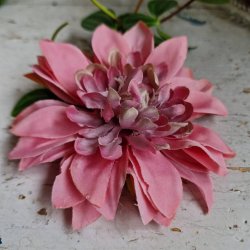 Bordeaux /lilla krysantemum blomster clips M