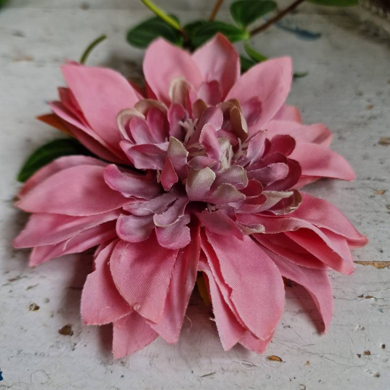 Bordeaux /lilla krysantemum blomster clips M