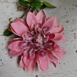 Bordeaux /lilla krysantemum blomster clips M