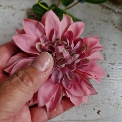 Bordeaux /lilla krysantemum blomster clips M