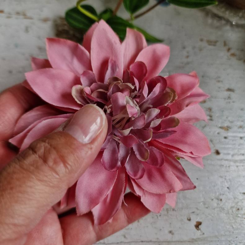 Bordeaux /lilla krysantemum blomster clips M