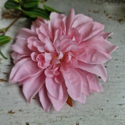 Lyserd krysantemum blomster clips M