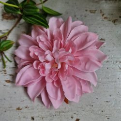 Lyserd krysantemum blomster clips M