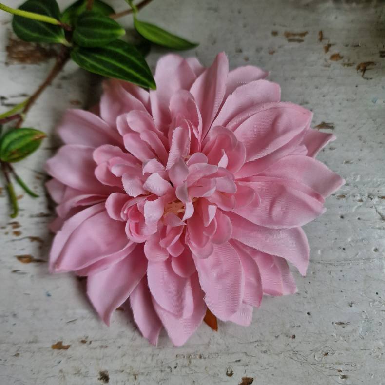 Lyserd krysantemum blomster clips M