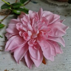 Lyserd krysantemum blomster clips M