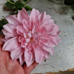 Lyserd krysantemum blomster clips M