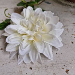 Hvid krysantemum blomster clips M