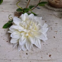 Hvid krysantemum blomster clips M