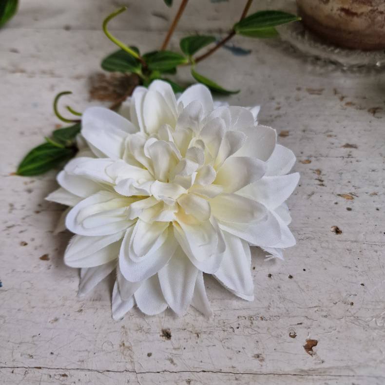 Hvid krysantemum blomster clips M