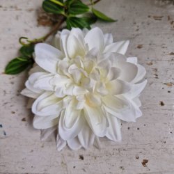 Hvid krysantemum blomster clips M