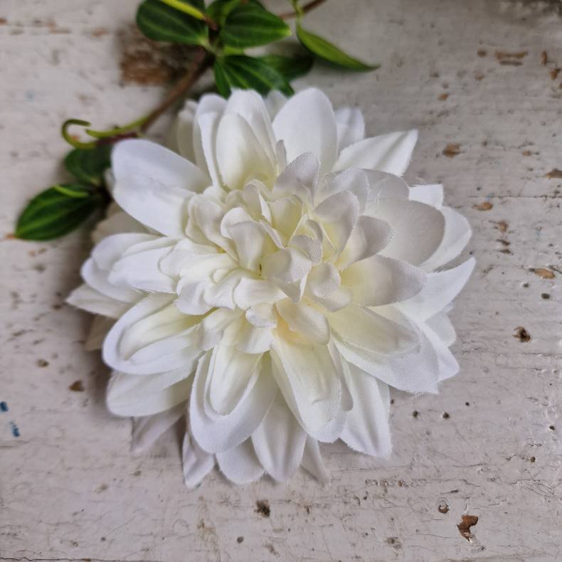 Hvid krysantemum blomster clips M