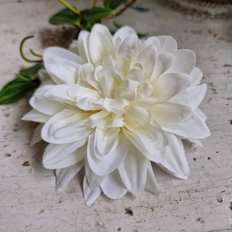 Hvid krysantemum blomster clips M