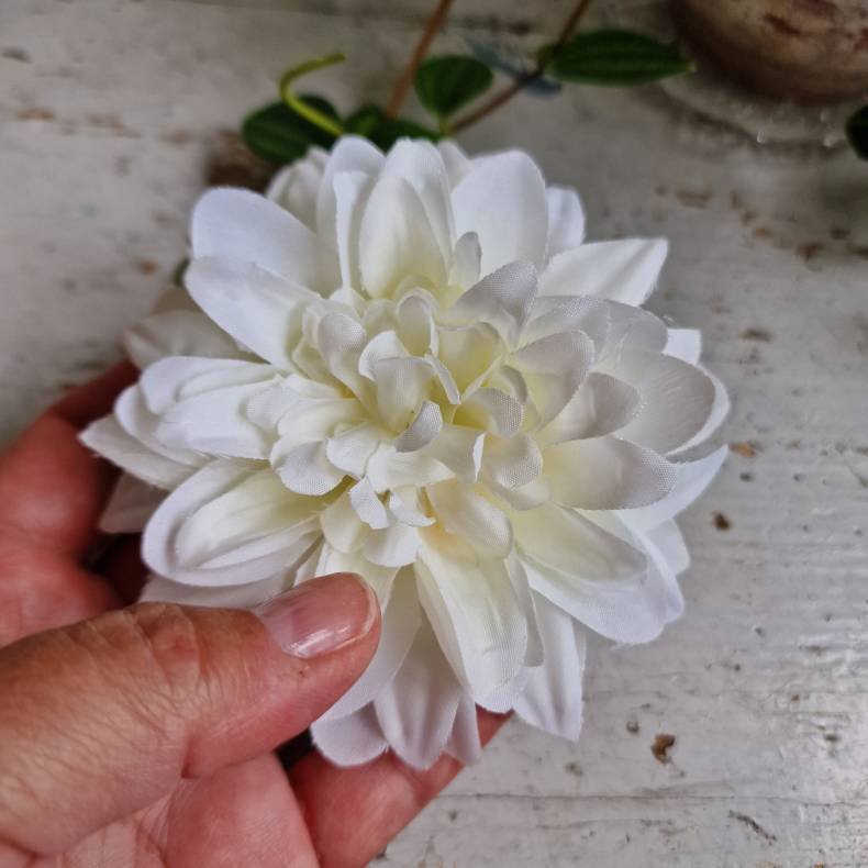 Hvid krysantemum blomster clips M