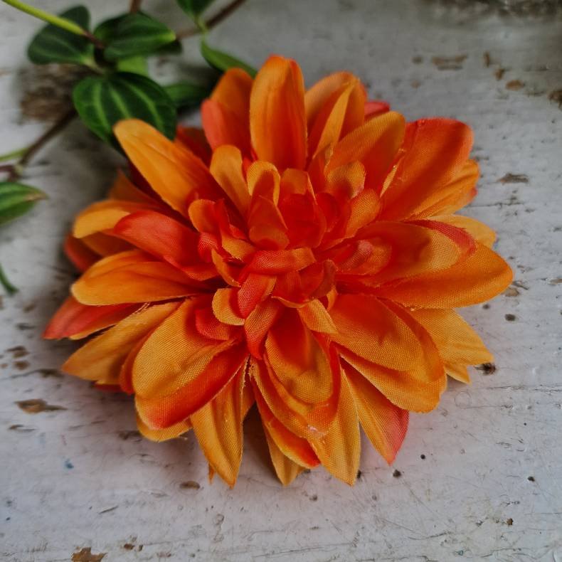 Orange krysantemum  blomster clips M