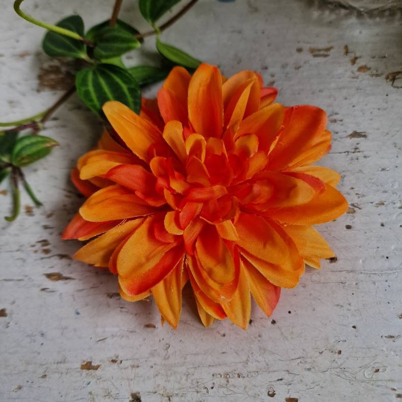 Orange krysantemum  blomster clips M
