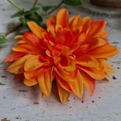 Orange krysantemum  blomster clips M