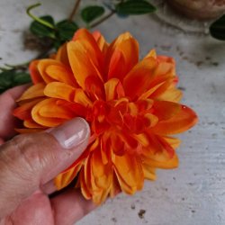 Orange krysantemum  blomster clips M