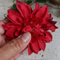 Rd krysantemum blomster clips M