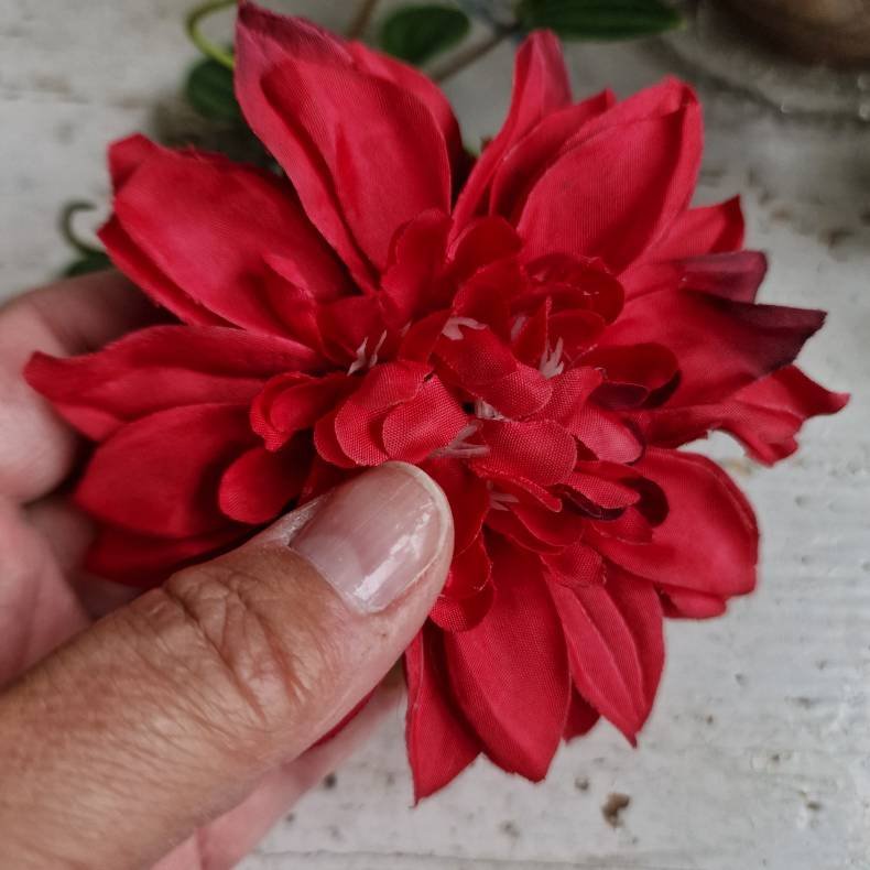 Rd krysantemum blomster clips M