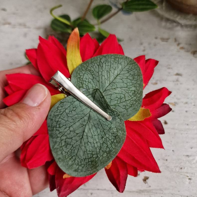 Rd krysantemum blomster clips M