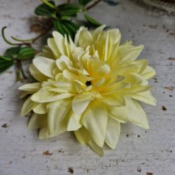 Gul krysantemum blomster clips M