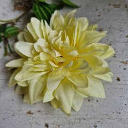 Gul krysantemum blomster clips M