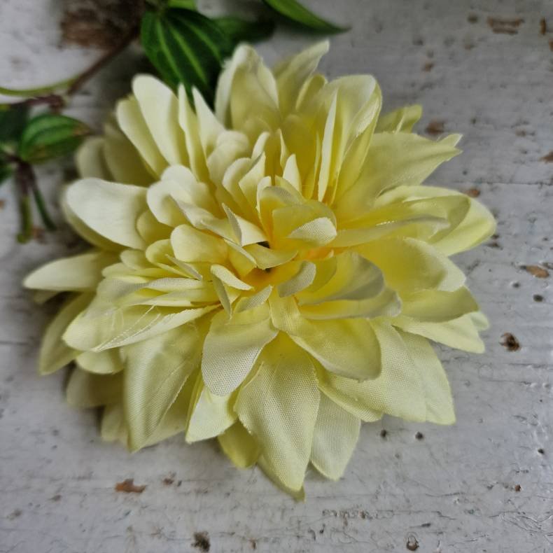 Gul krysantemum blomster clips M