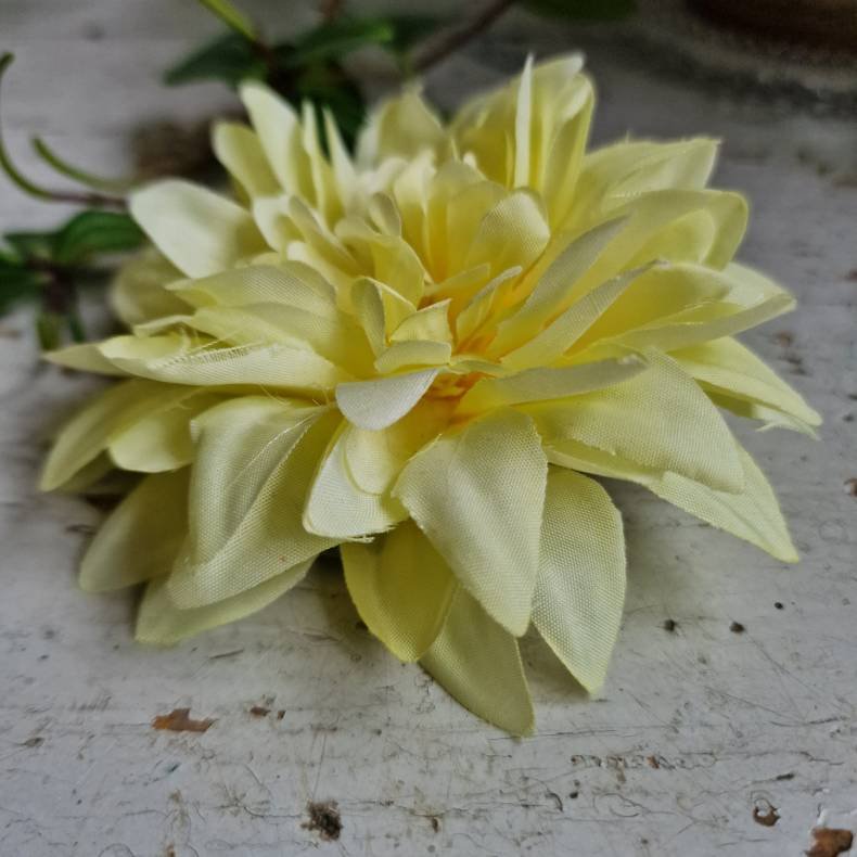 Gul krysantemum blomster clips M