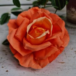 Orange rose blomster clips M
