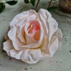 Sart rosa rose blomster clips M