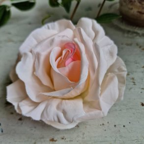 Sart rosa rose blomster clips M