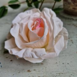 Sart rosa rose blomster clips M