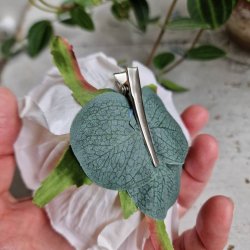 Sart rosa rose blomster clips M