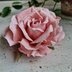 Gammelrosa rose blomster clips M