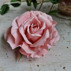 Gammelrosa rose blomster clips M