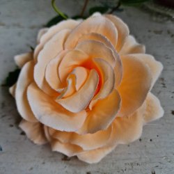 Fersken rose blomster clips M